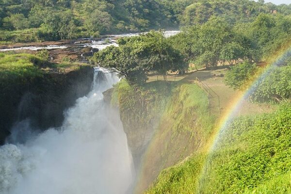 10-Day Ultimate Uganda Primate Safari 10-Day Ultimate Uganda Primate Safari