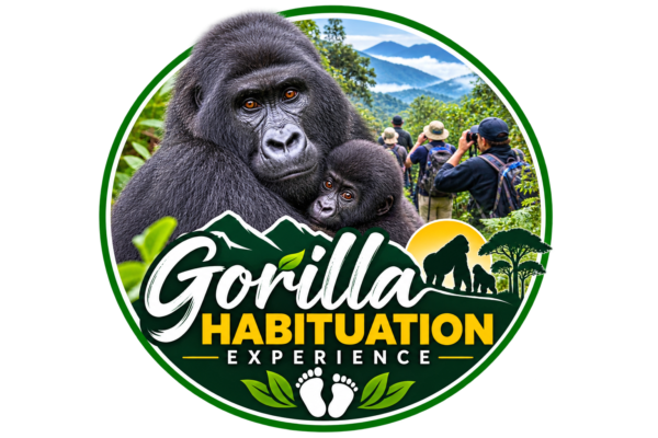 Gorilla Habituation Experience Gorilla Habituation Experience