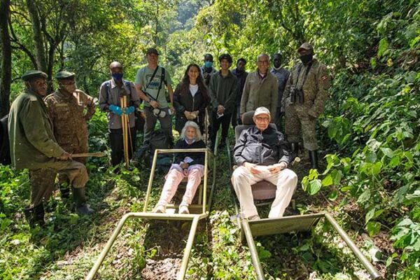 Gorilla Habituation Experience For Seniors Gorilla Habituation Experience For Seniors